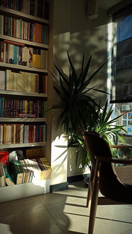 Creating a Relaxing Home Environment with Colour and Natural Light